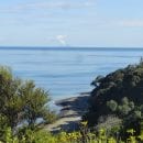 Eastern Bay of Plenty